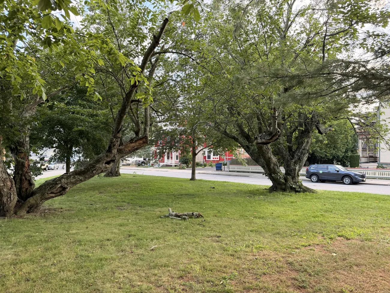 Tree-lined streets in Fall River's residential neighbourhoods.