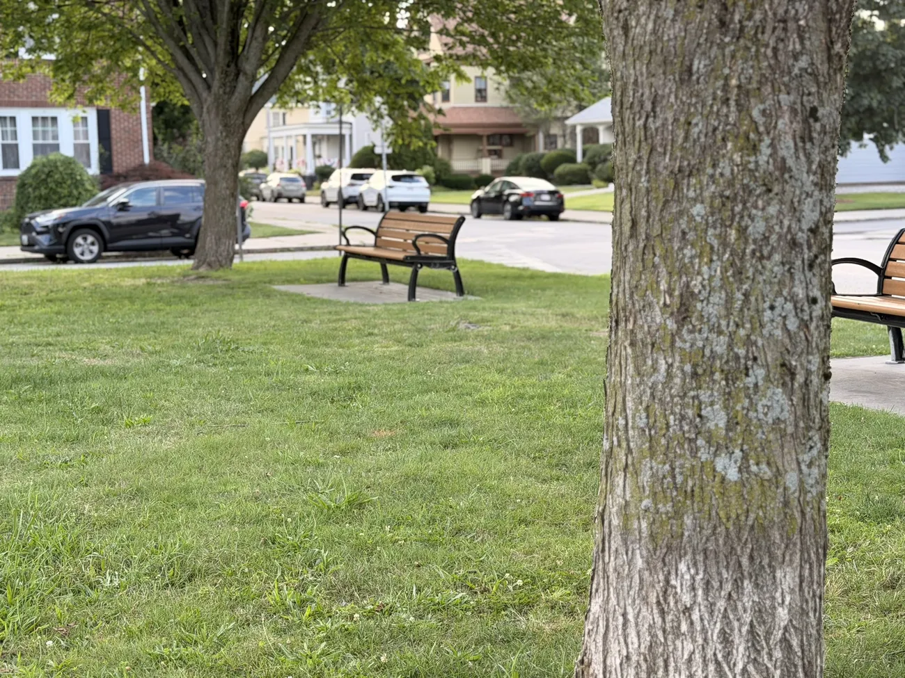A quiet corner of a Fall River park — mature trees and an empty bench.