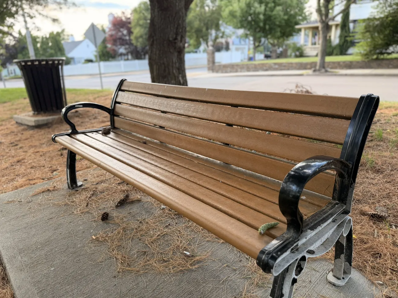An empty park bench under the trees.