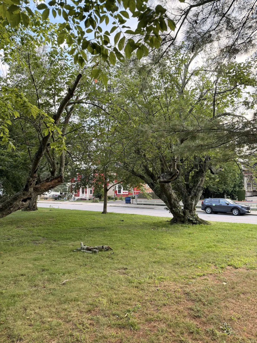 Tree-lined streets in Fall River's residential neighbourhoods.