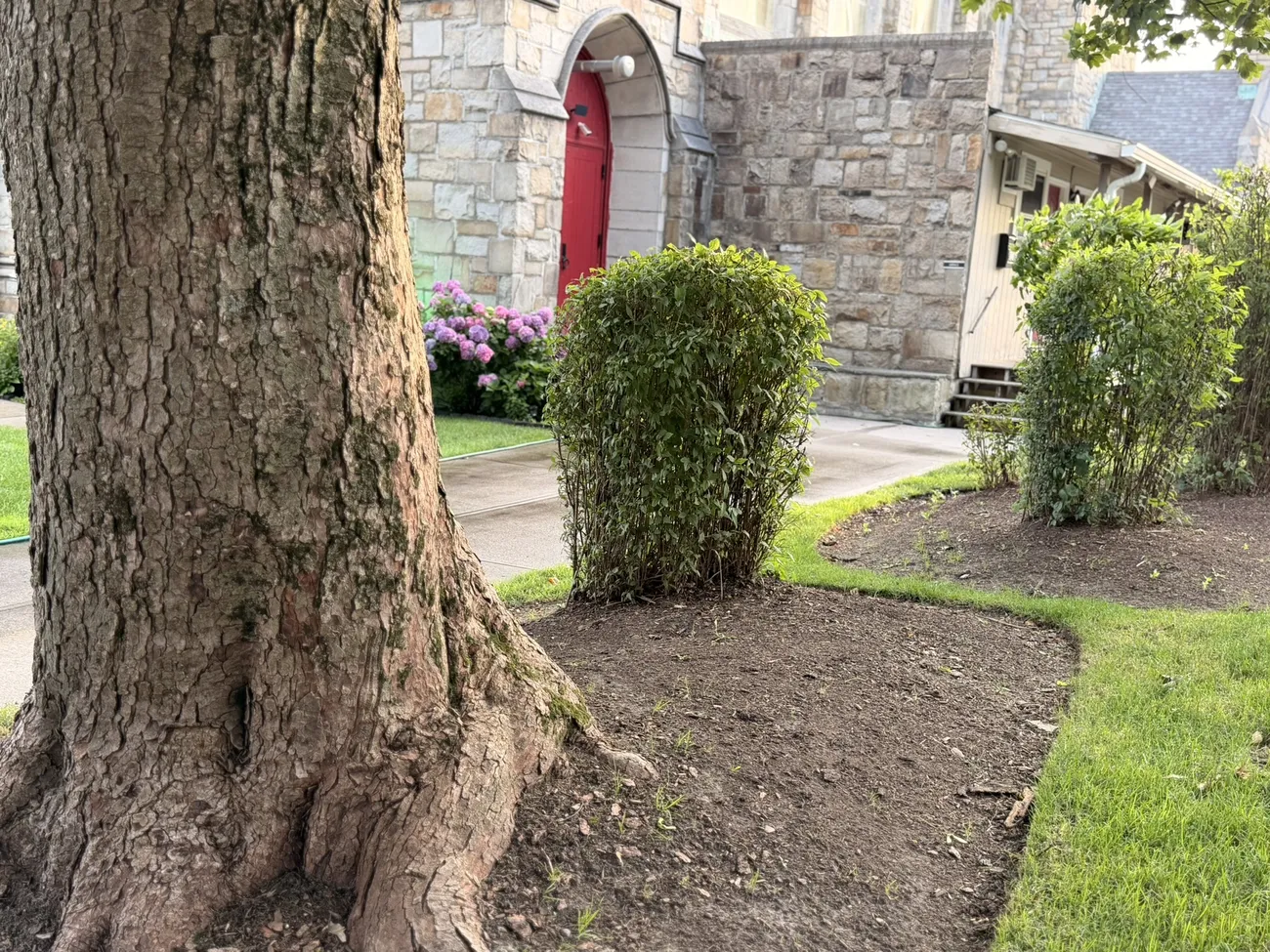 A stone church with deep red doors, set back behind old trees.