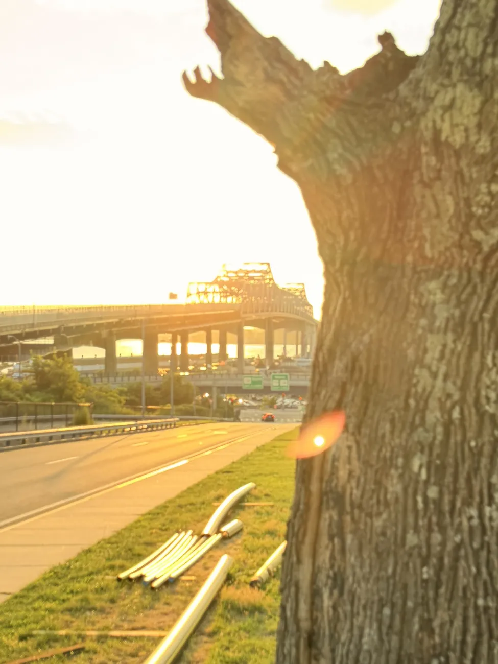 Sunset behind the Braga Bridge, seen through the trees of the park.