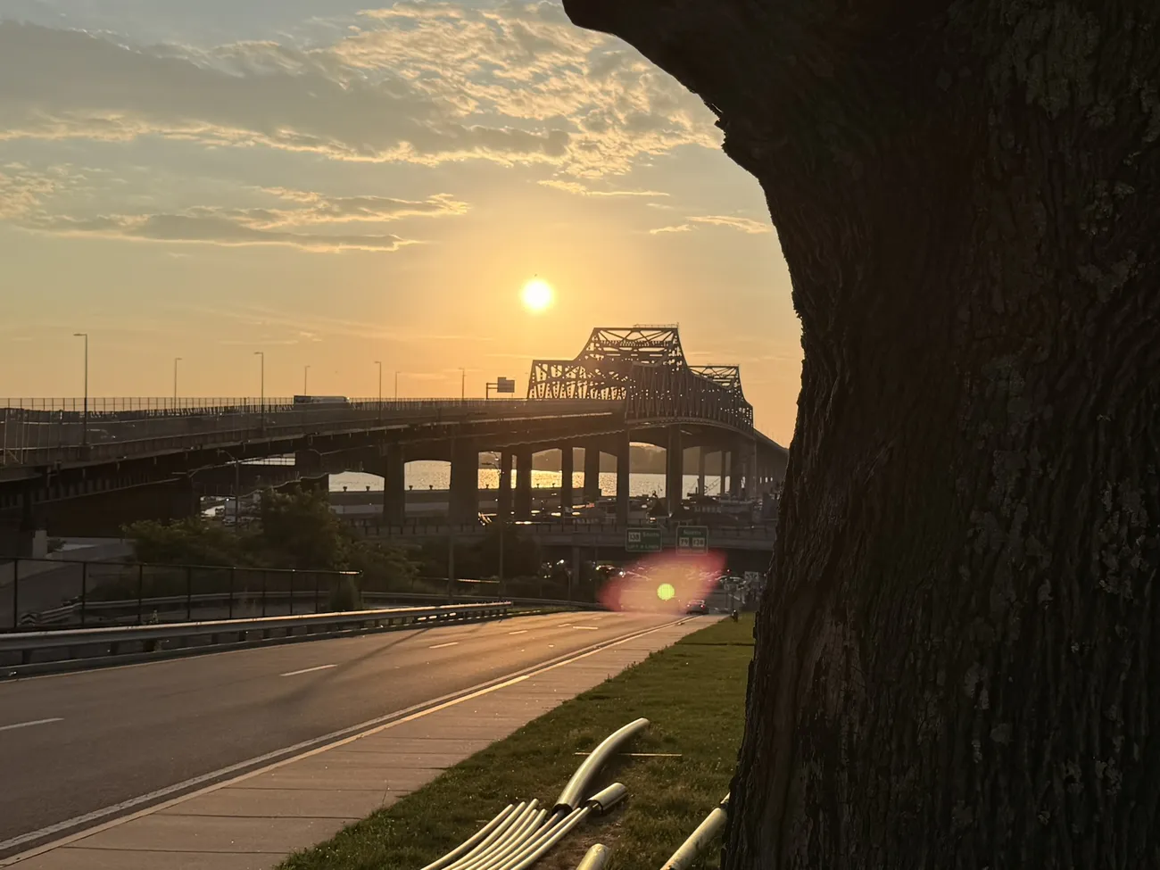 Sunset behind the Braga Bridge, seen through the trees of the park.