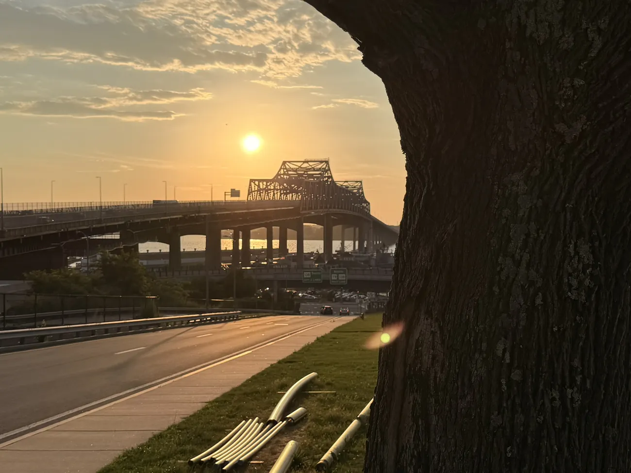 Sunset behind the Braga Bridge, seen through the trees of the park.