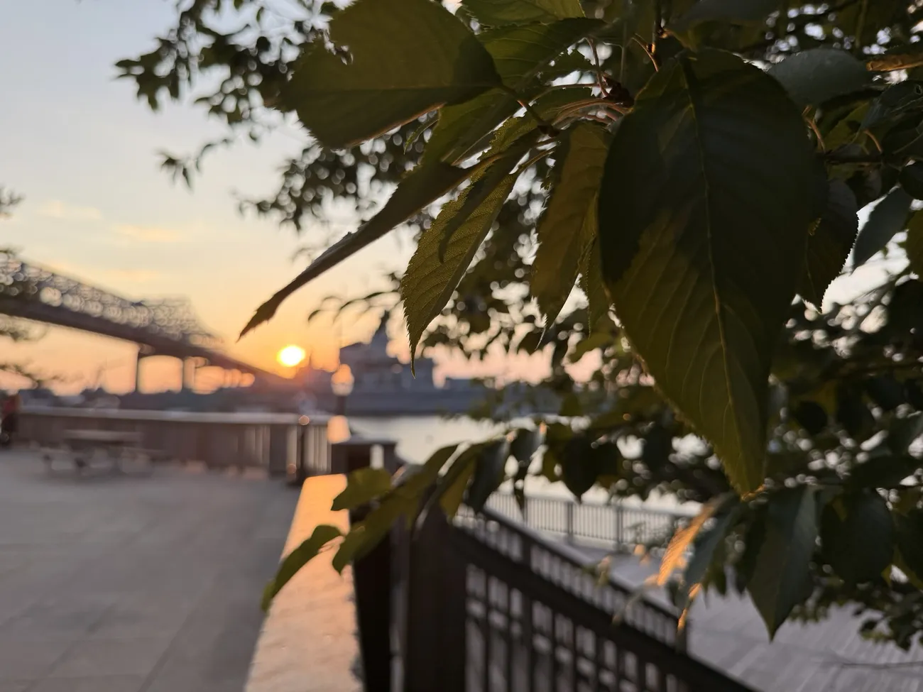 The waterfront boardwalk at golden hour, lamps coming on along the rail.
