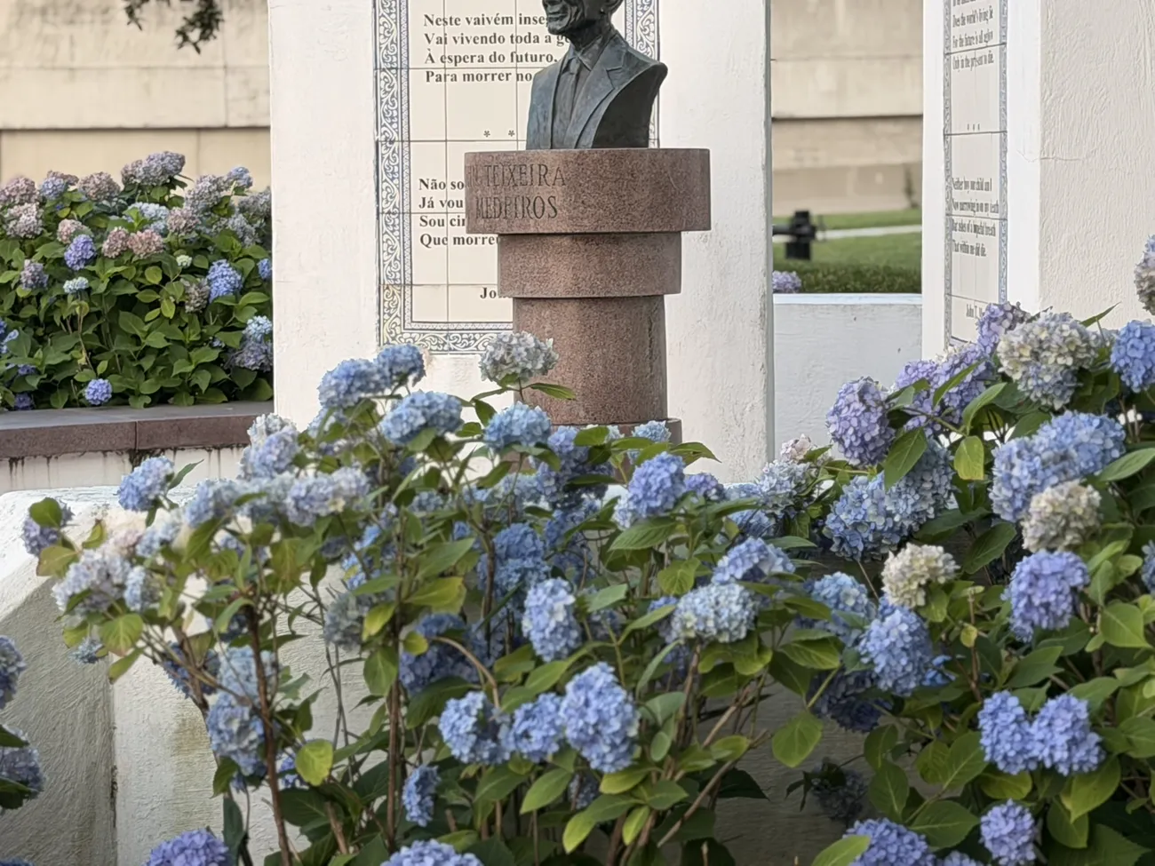 Hydrangeas in bloom around the memorial plaza and its bronze busts.