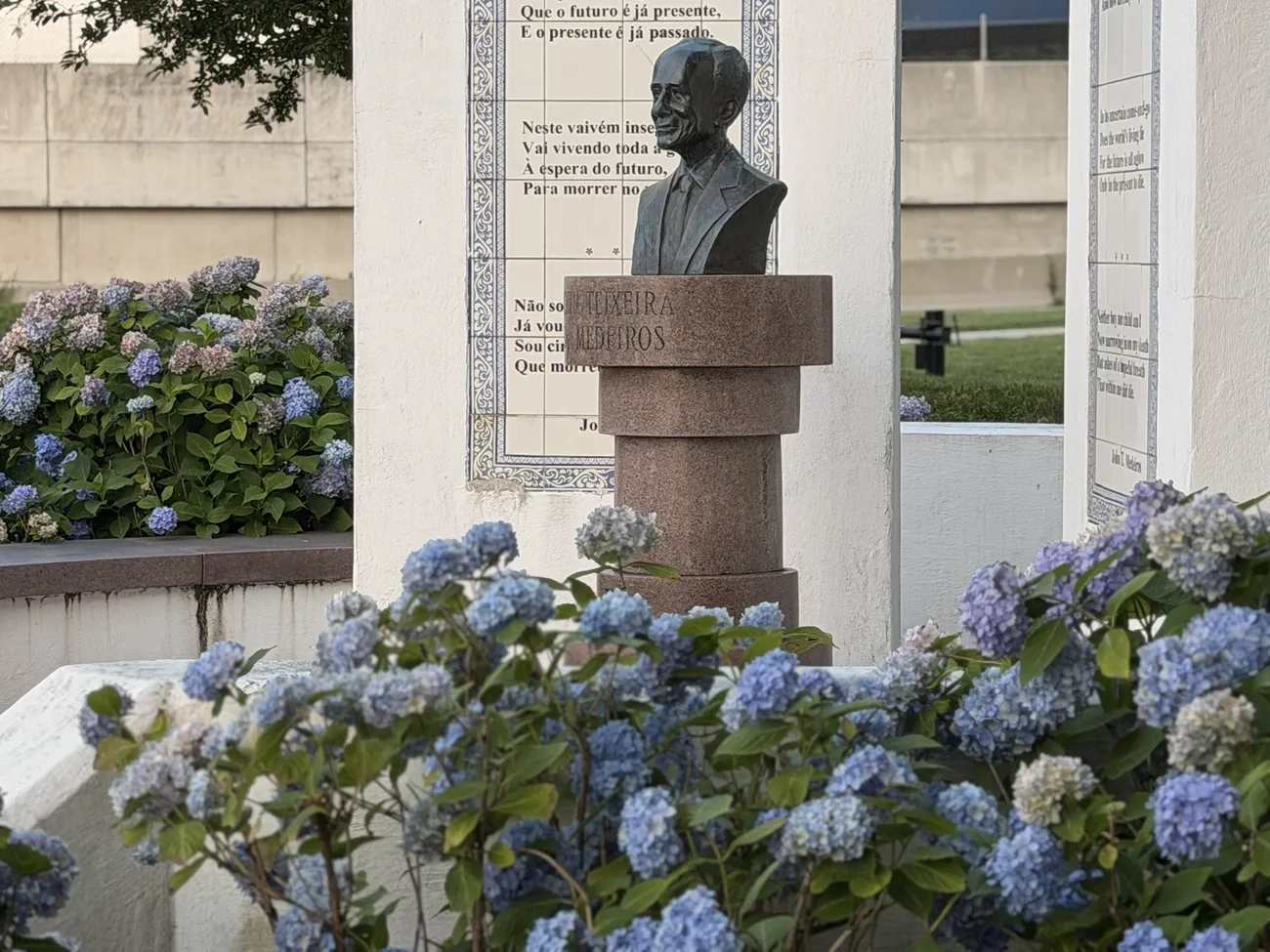Hydrangeas in bloom around the memorial plaza and its bronze busts.
