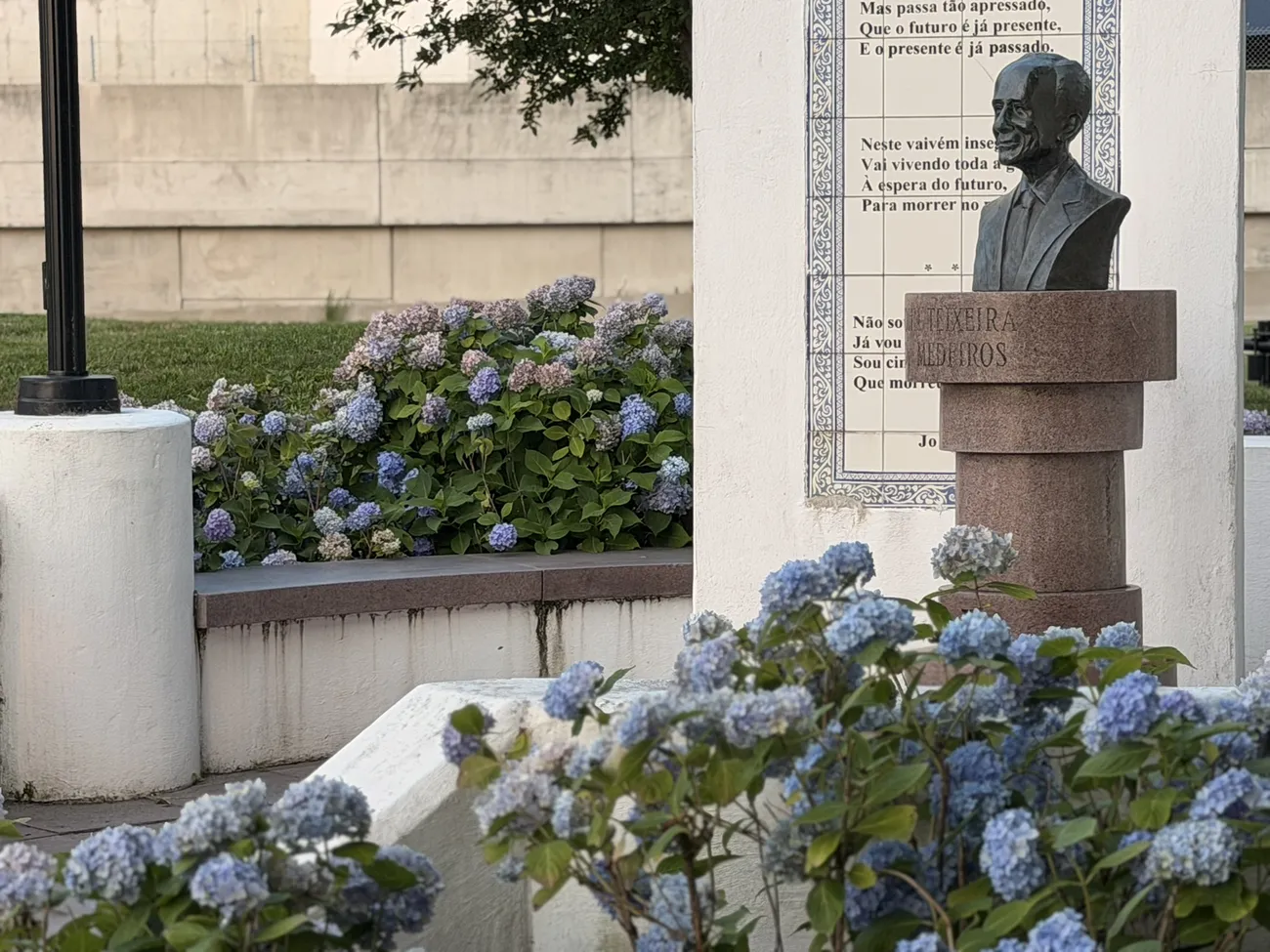 Hydrangeas in bloom around the memorial plaza and its bronze busts.